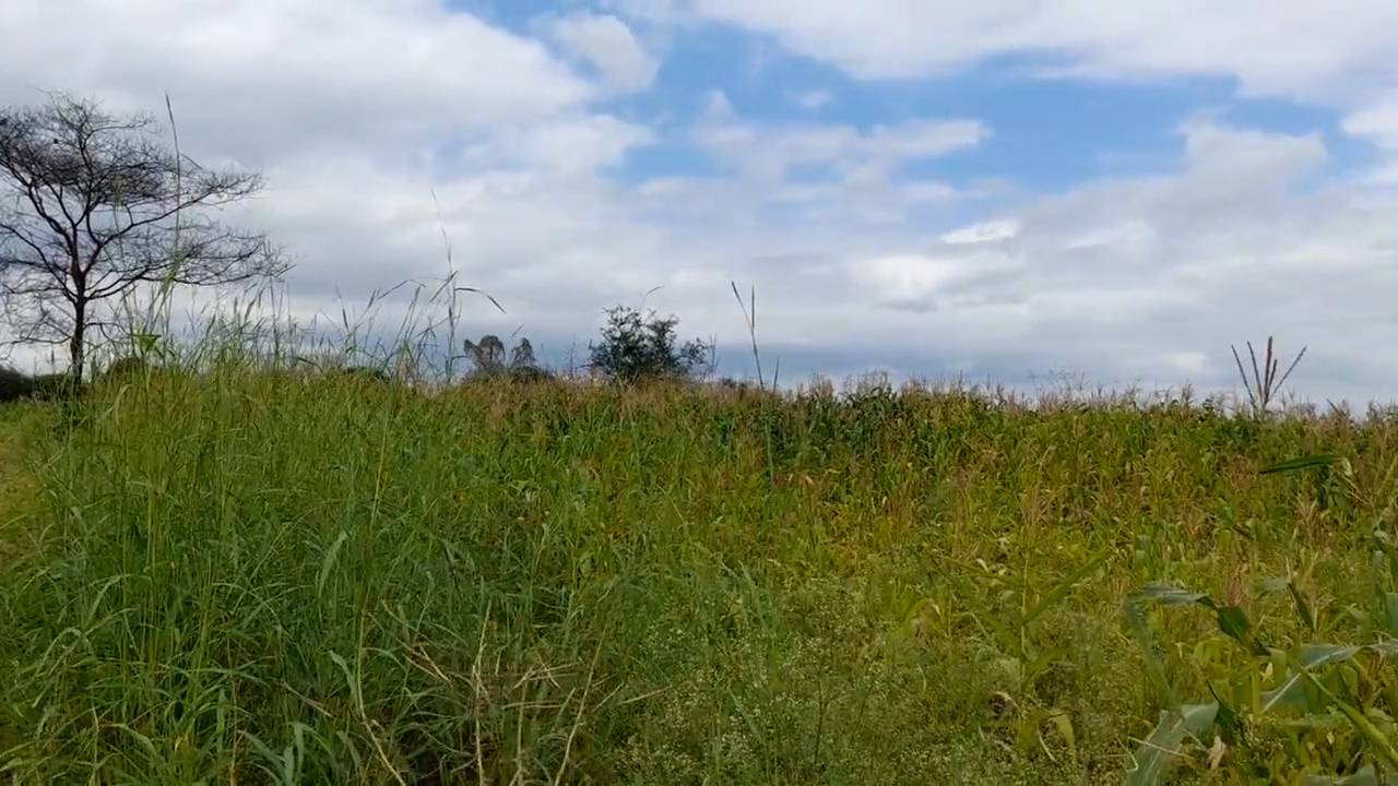 Shamba zuri la ekari 3.6 Olodenderit