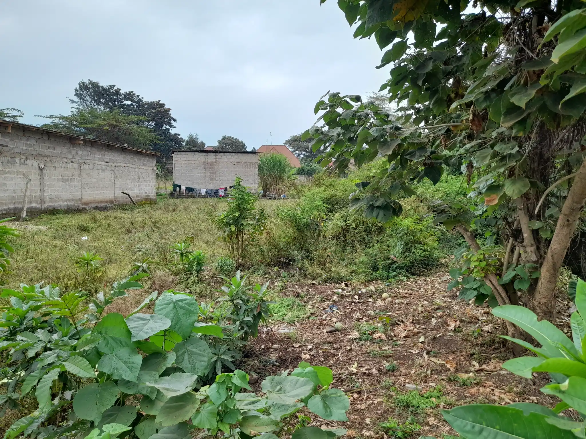 Kiwanja cha Makazi Kinauzwa Moshono Kati, Arusha