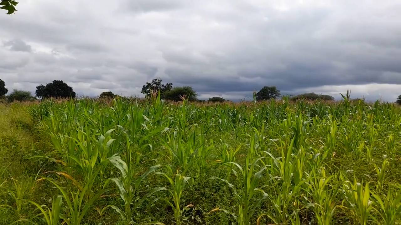 Shamba zuri la ekari 1.2 Olodenderit