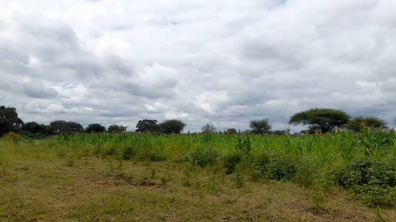 Shamba zuri la ekari 1.8 Olodenderit