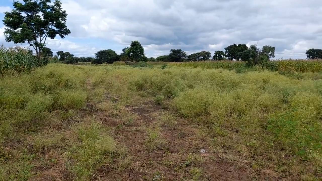 Shamba zuri la ekari 3.6 Olodenderit