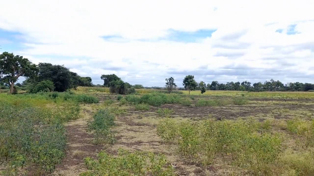 Shamba zuri la ekari 3.6 Olodenderit
