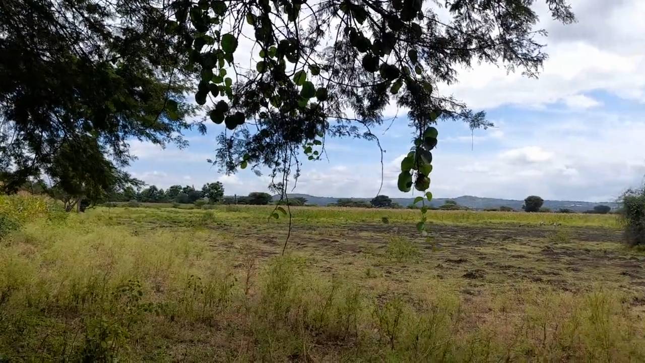Shamba zuri la ekari 3.6 Olodenderit