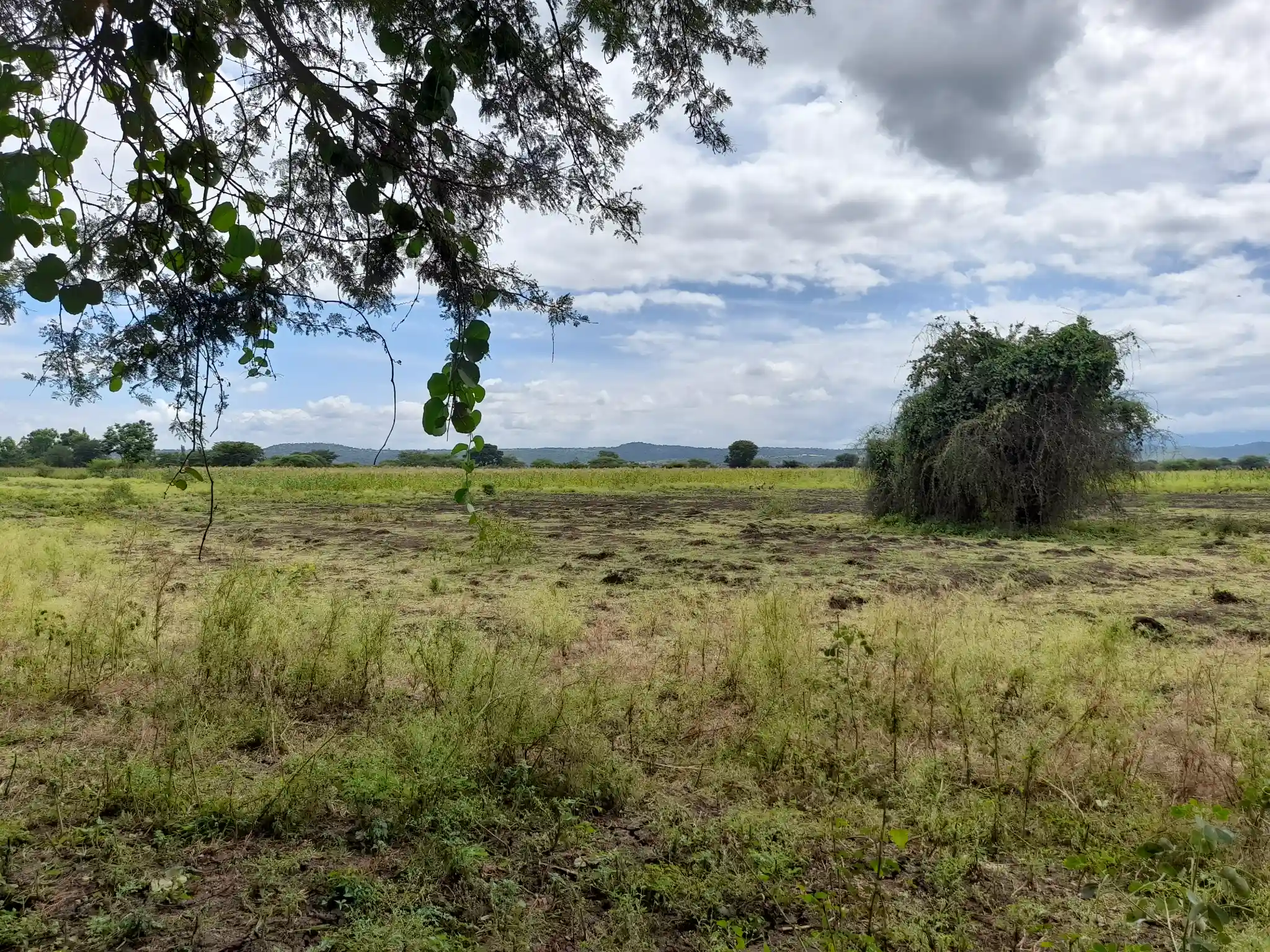 Shamba zuri la ekari 3.6 Olodenderit