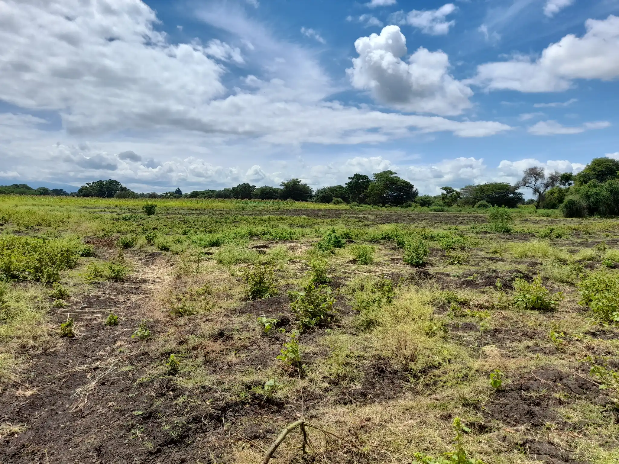 Shamba zuri la ekari 3.6 Olodenderit