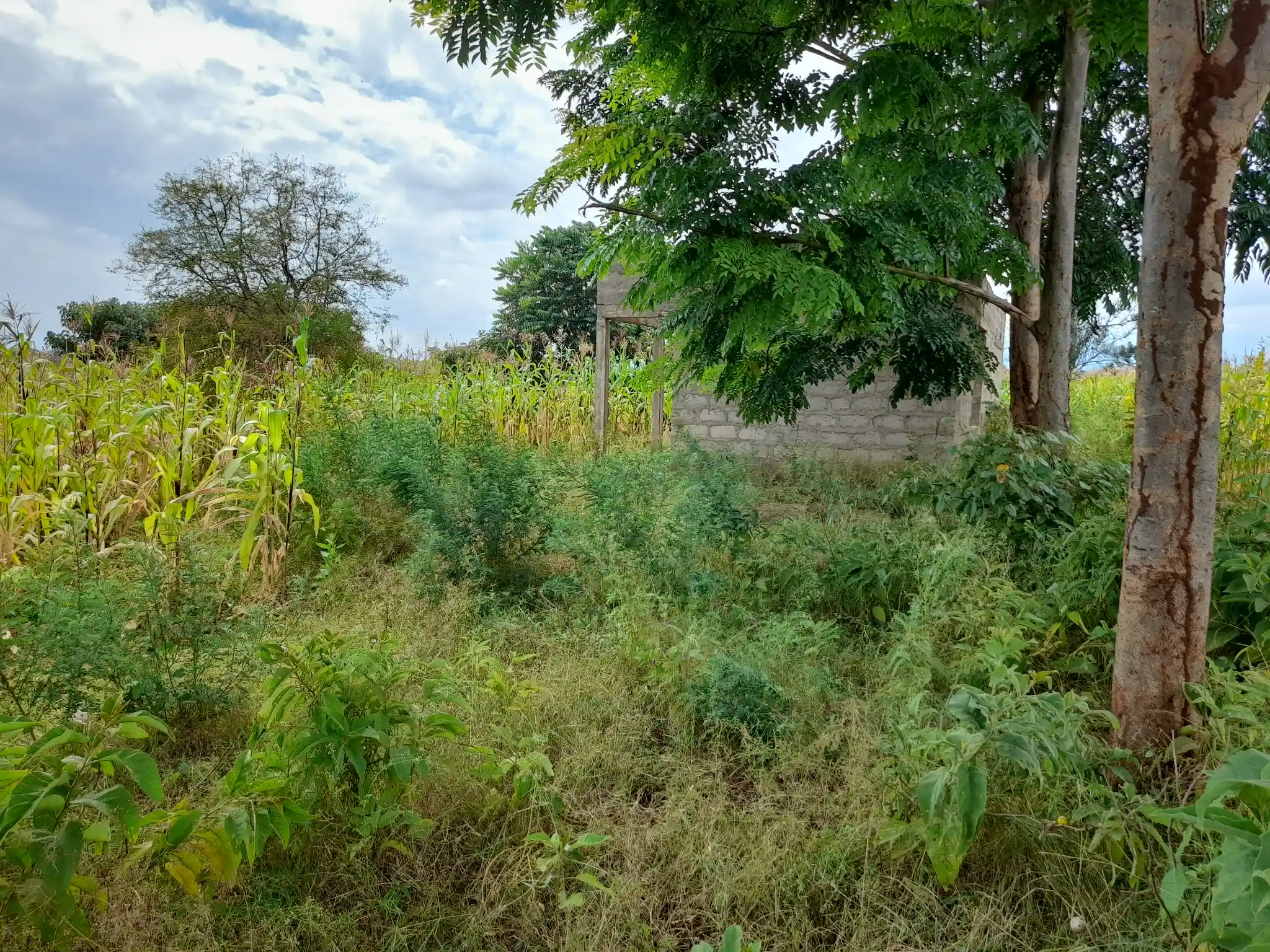 Nyumba tayari kukamilishwa kwenye kiwanja cha 29×43m, Muungano, umbali wa km 1 kutoka barabara kuu