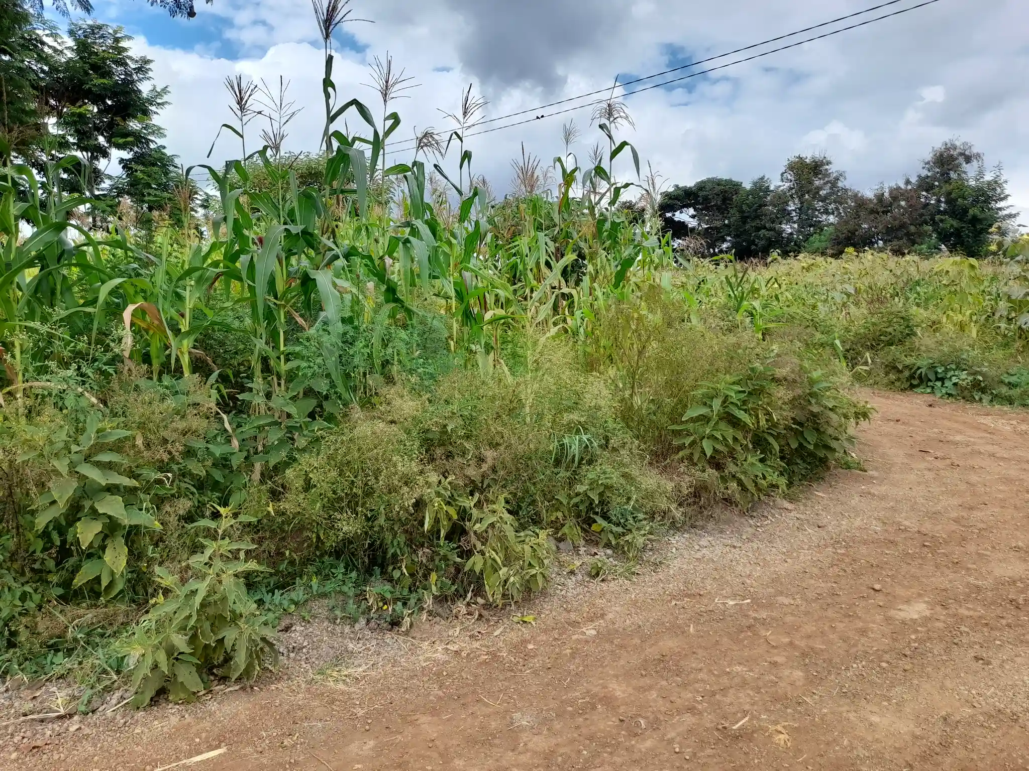 Nyumba tayari kukamilishwa kwenye kiwanja cha 29×43m, Muungano, umbali wa km 1 kutoka barabara kuu