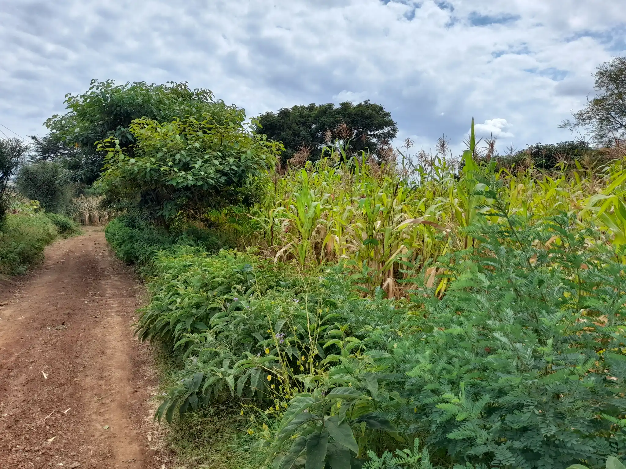 Nyumba tayari kukamilishwa kwenye kiwanja cha 29×43m, Muungano, umbali wa km 1 kutoka barabara kuu