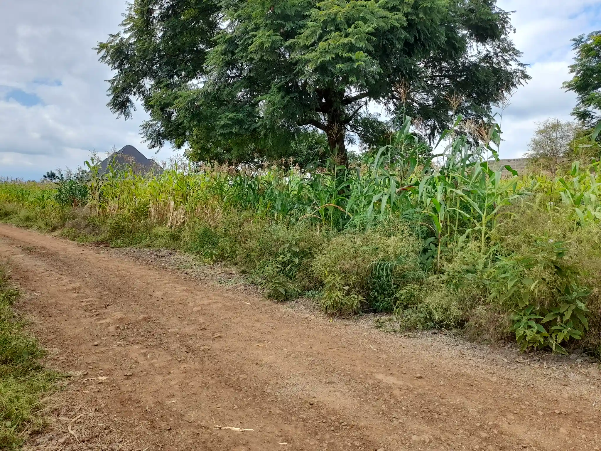 Nyumba tayari kukamilishwa kwenye kiwanja cha 29×43m, Muungano, umbali wa km 1 kutoka barabara kuu