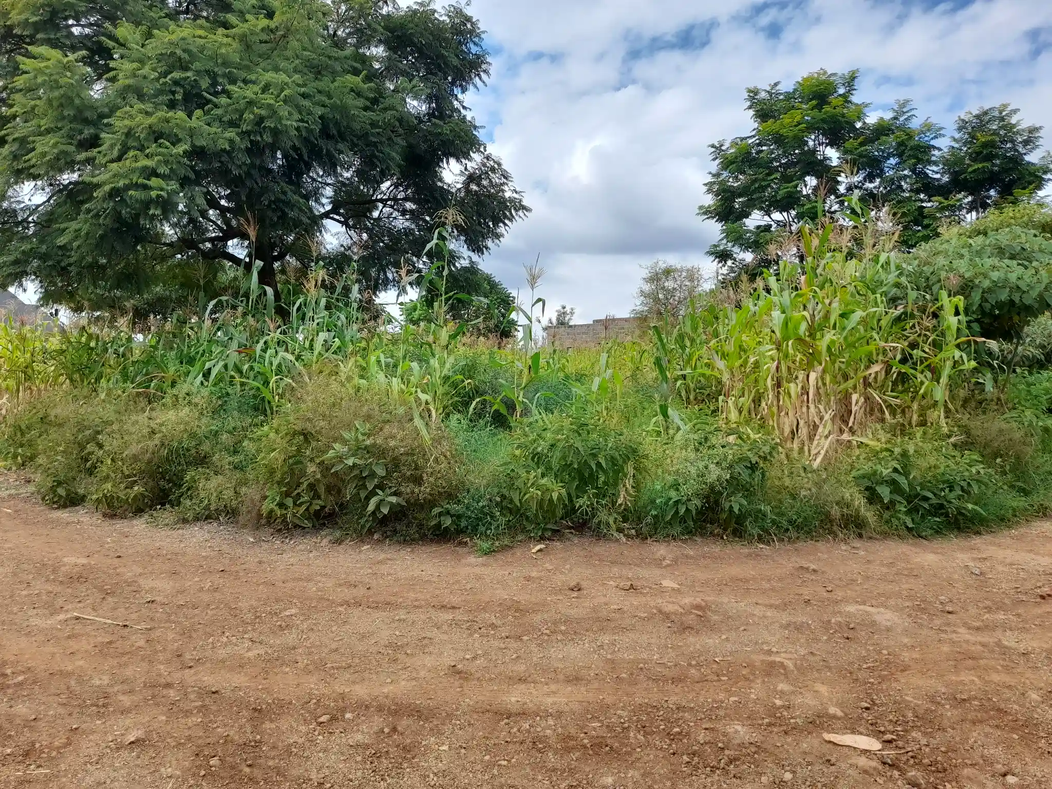 Nyumba tayari kukamilishwa kwenye kiwanja cha 29×43m, Muungano, umbali wa km 1 kutoka barabara kuu