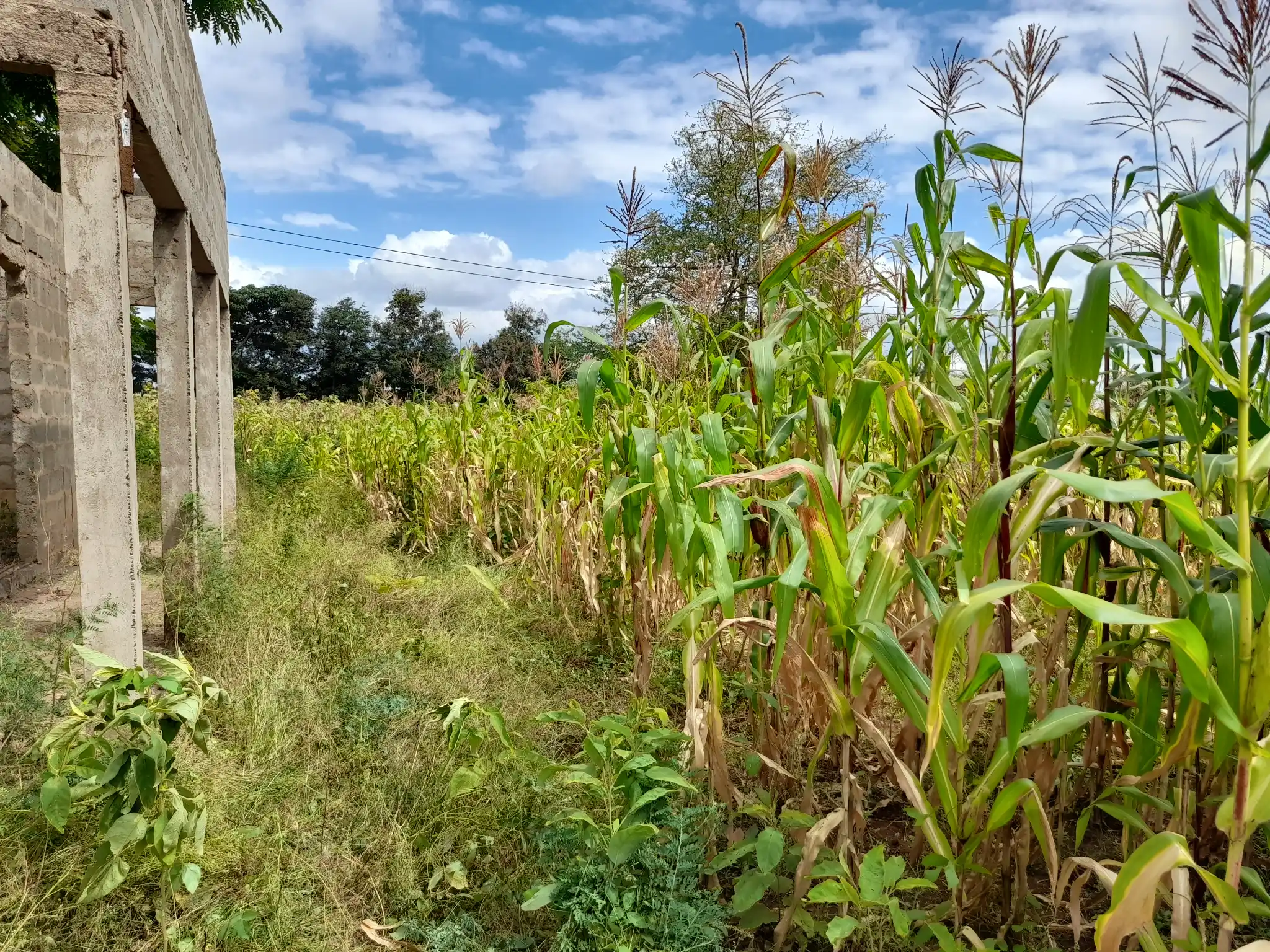 Nyumba tayari kukamilishwa kwenye kiwanja cha 29×43m, Muungano, umbali wa km 1 kutoka barabara kuu