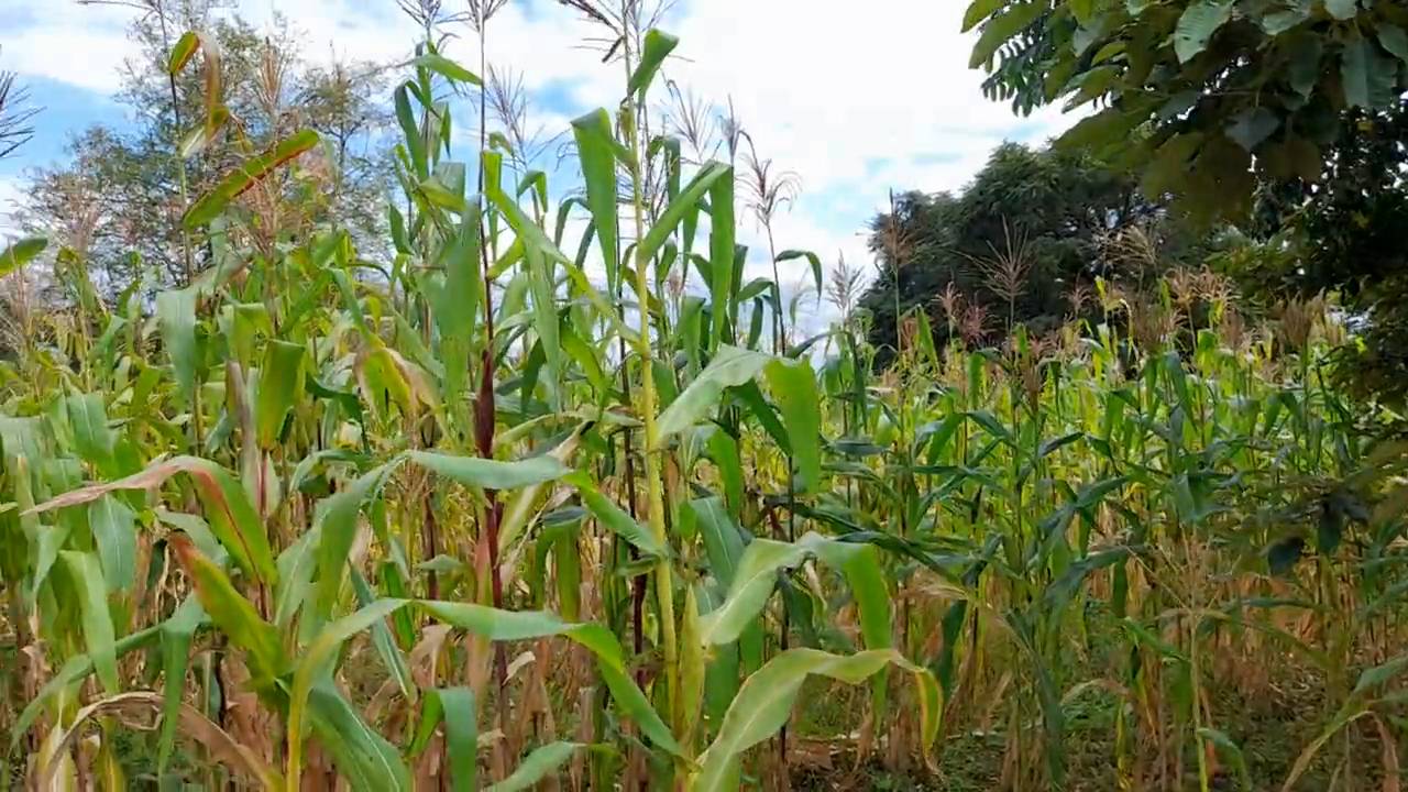 Nyumba tayari kukamilishwa kwenye kiwanja cha 29×43m, Muungano, umbali wa km 1 kutoka barabara kuu