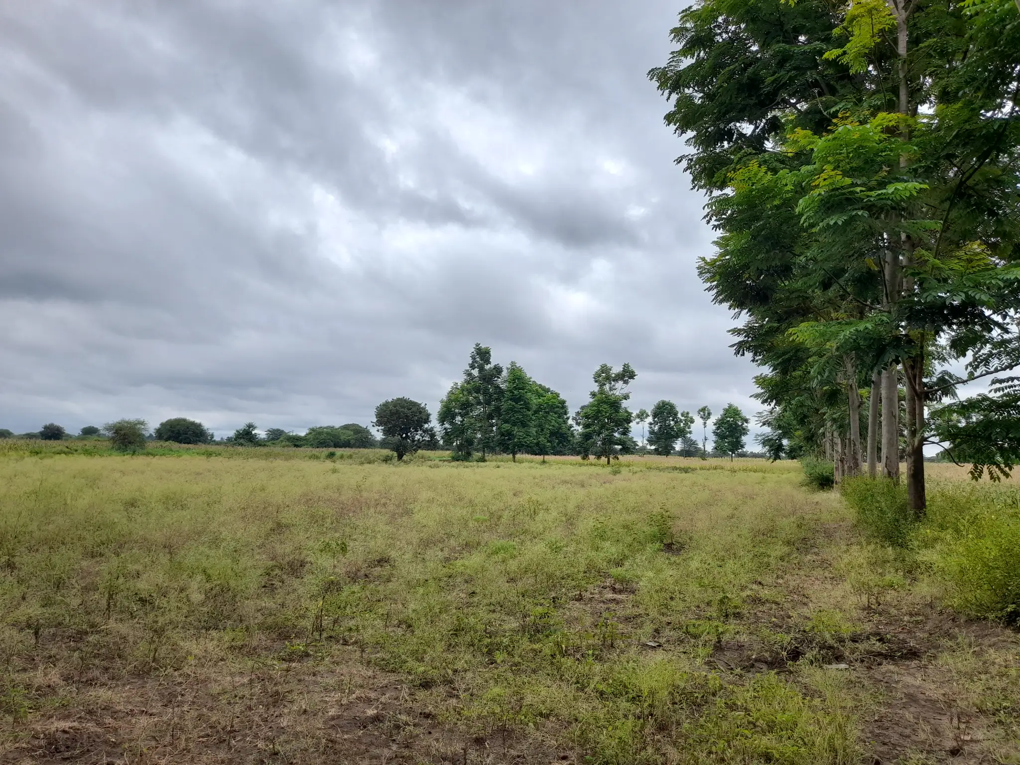 Shamba zuri la ekari 3.6 Olodenderit
