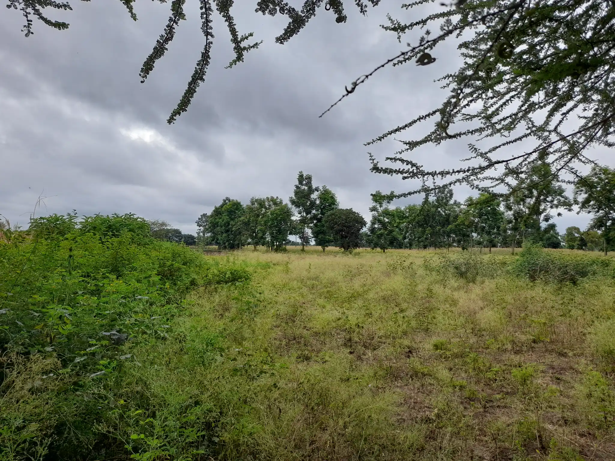 Shamba zuri la ekari 3.6 Olodenderit