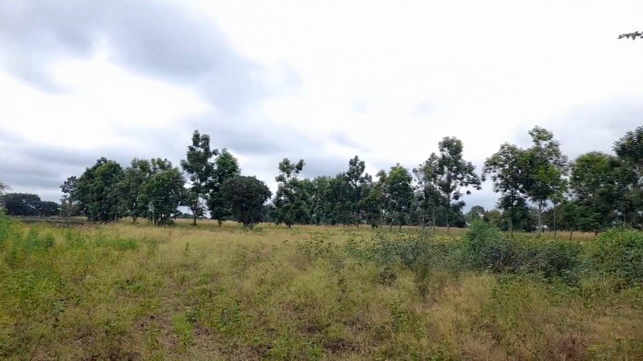 Shamba zuri la ekari 3.6 Olodenderit