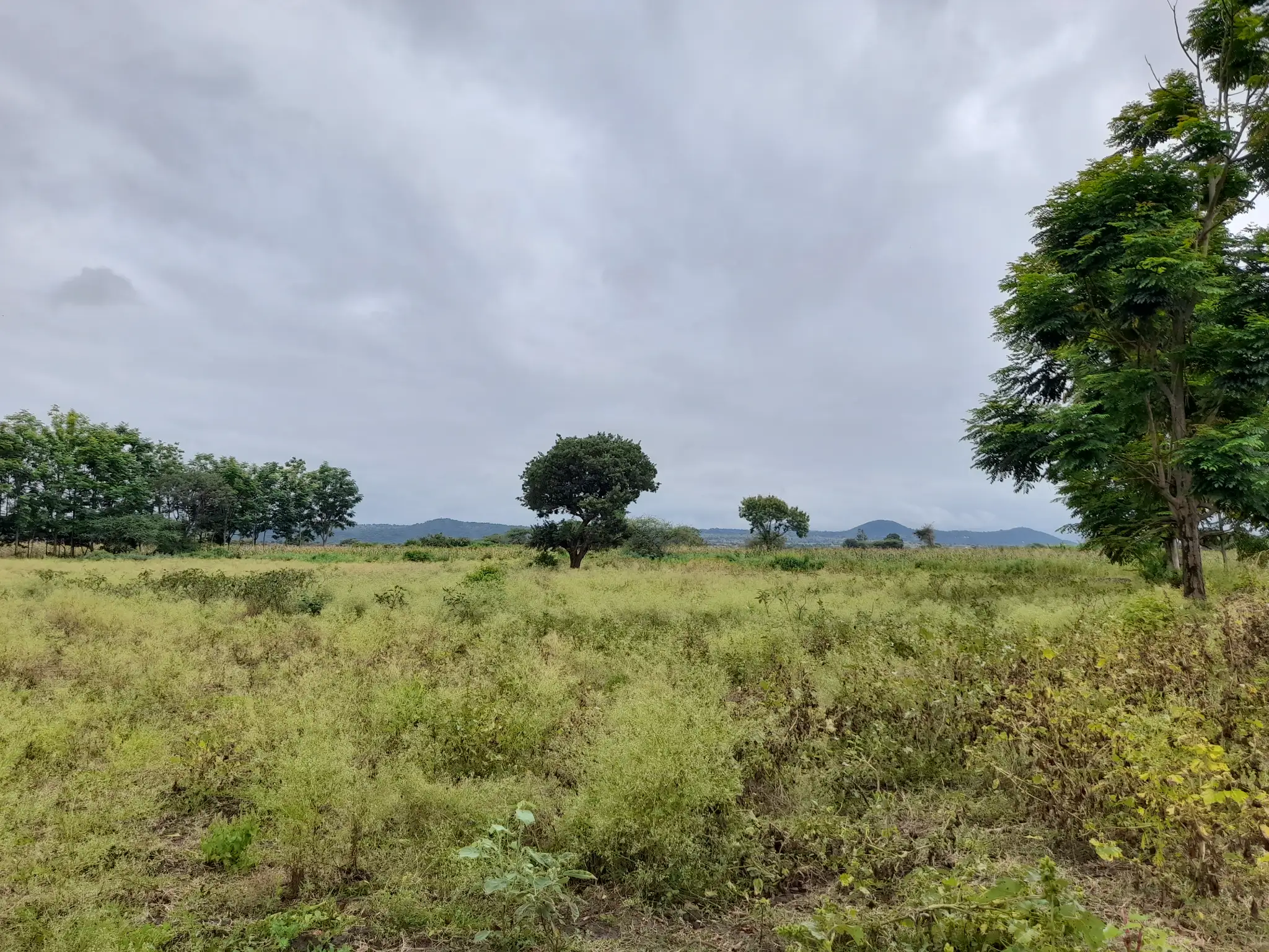 Shamba zuri la ekari 3.6 Olodenderit