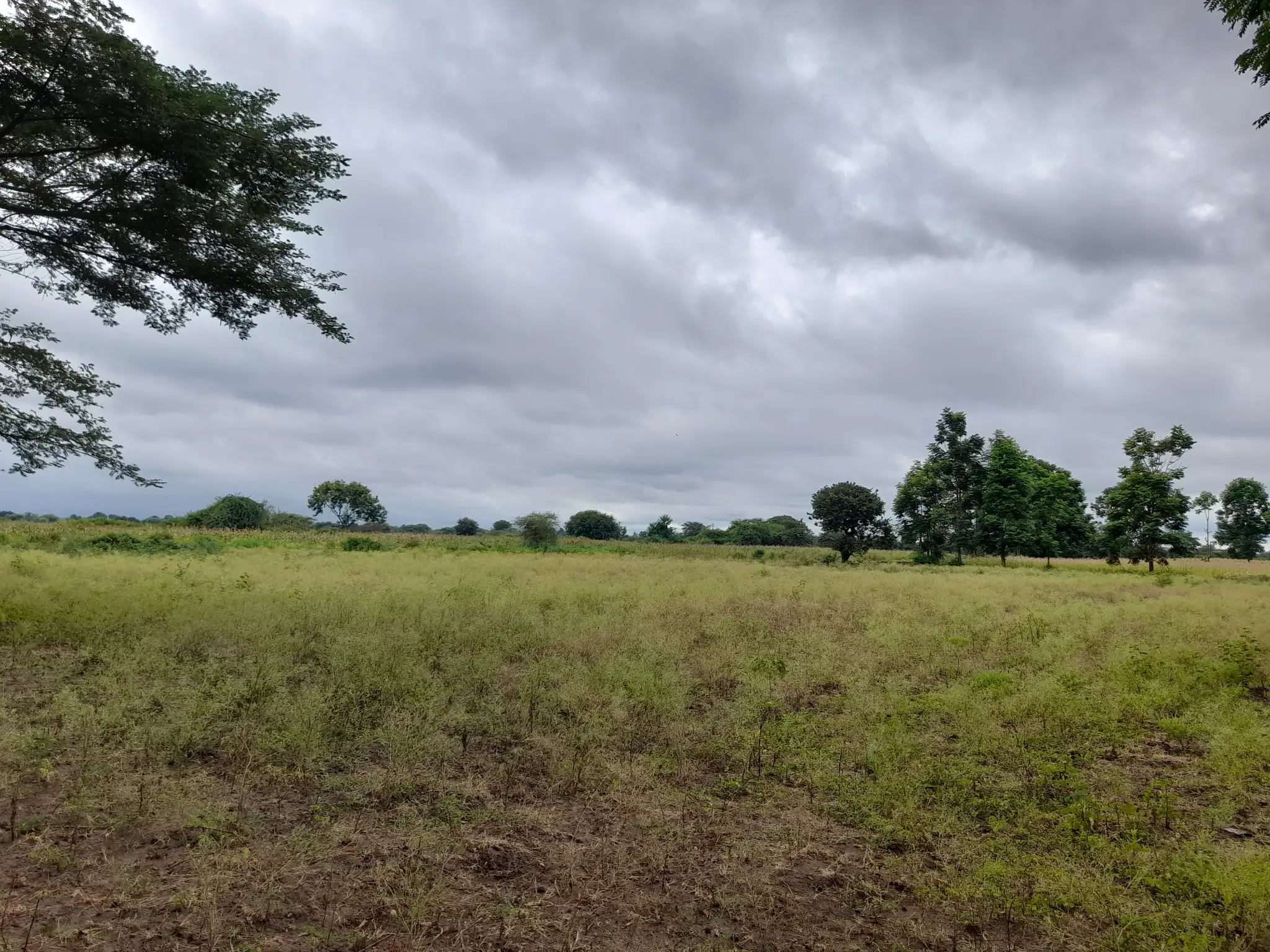 Shamba zuri la ekari 3.6 Olodenderit
