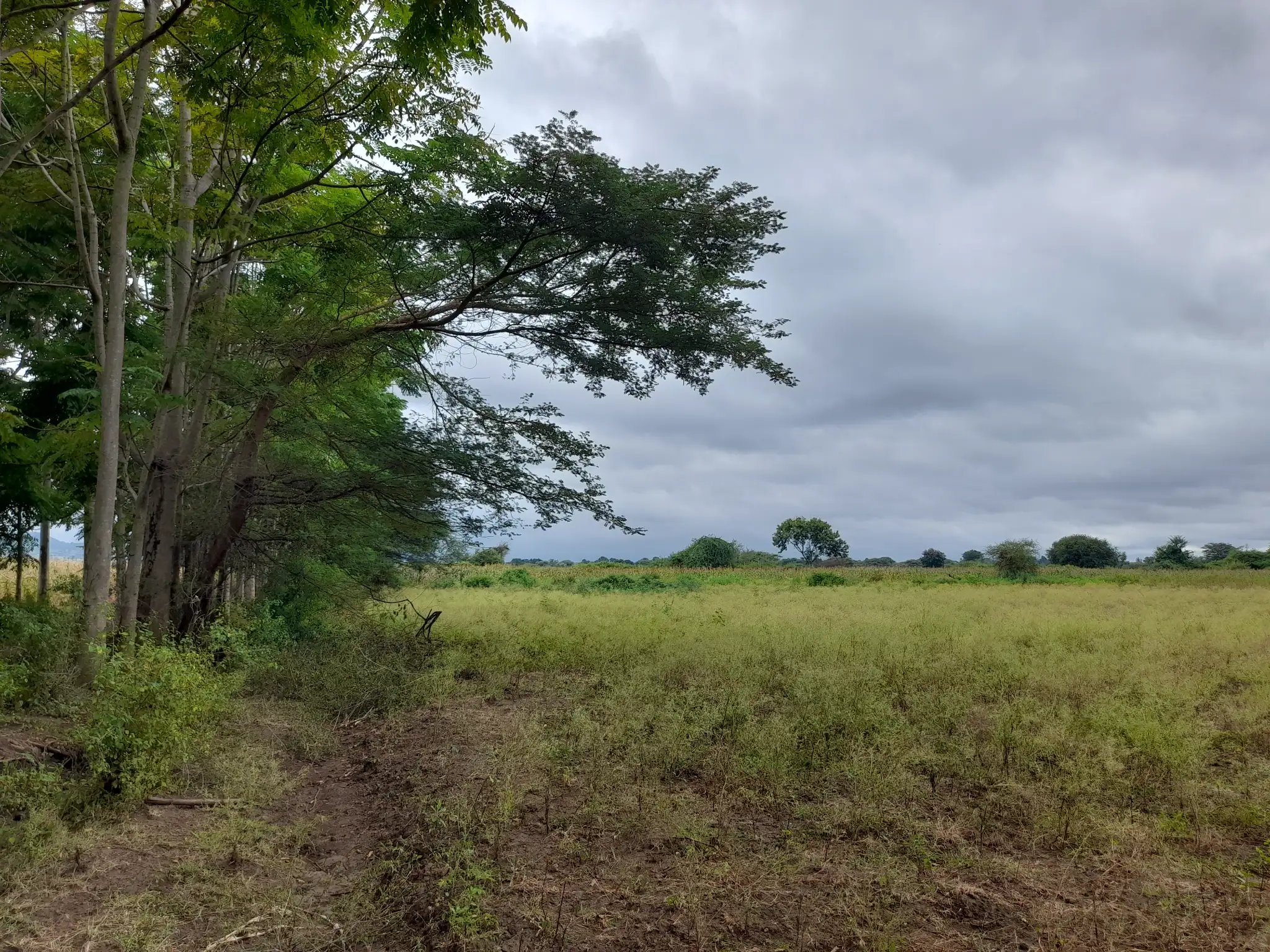 Shamba zuri la ekari 3.6 Olodenderit