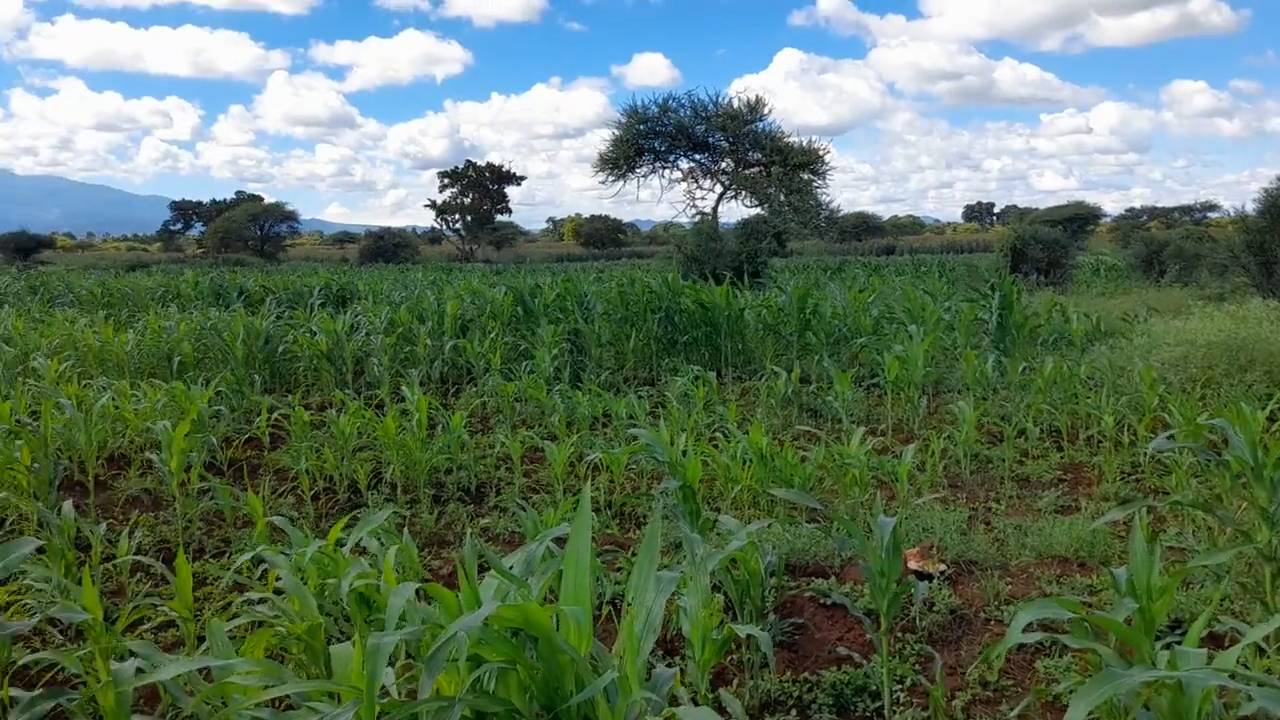 Shamba zuri la ekari 2.4 Olodenderit
