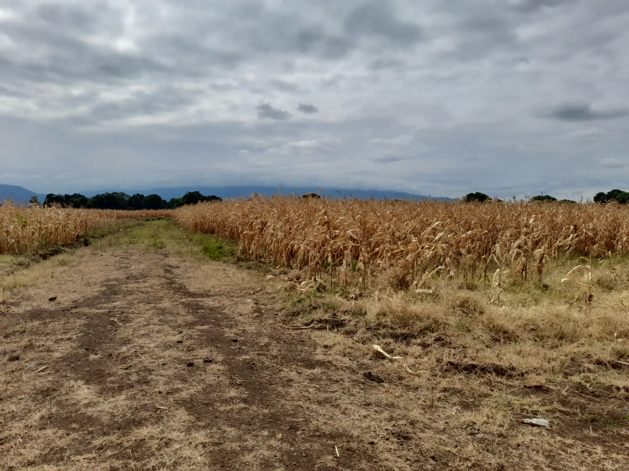 Kiwanja Cha 1,373 sqm Kilichopimwa na Hati Karibu na Gomba Estate Area – Manyire, Arumeru
