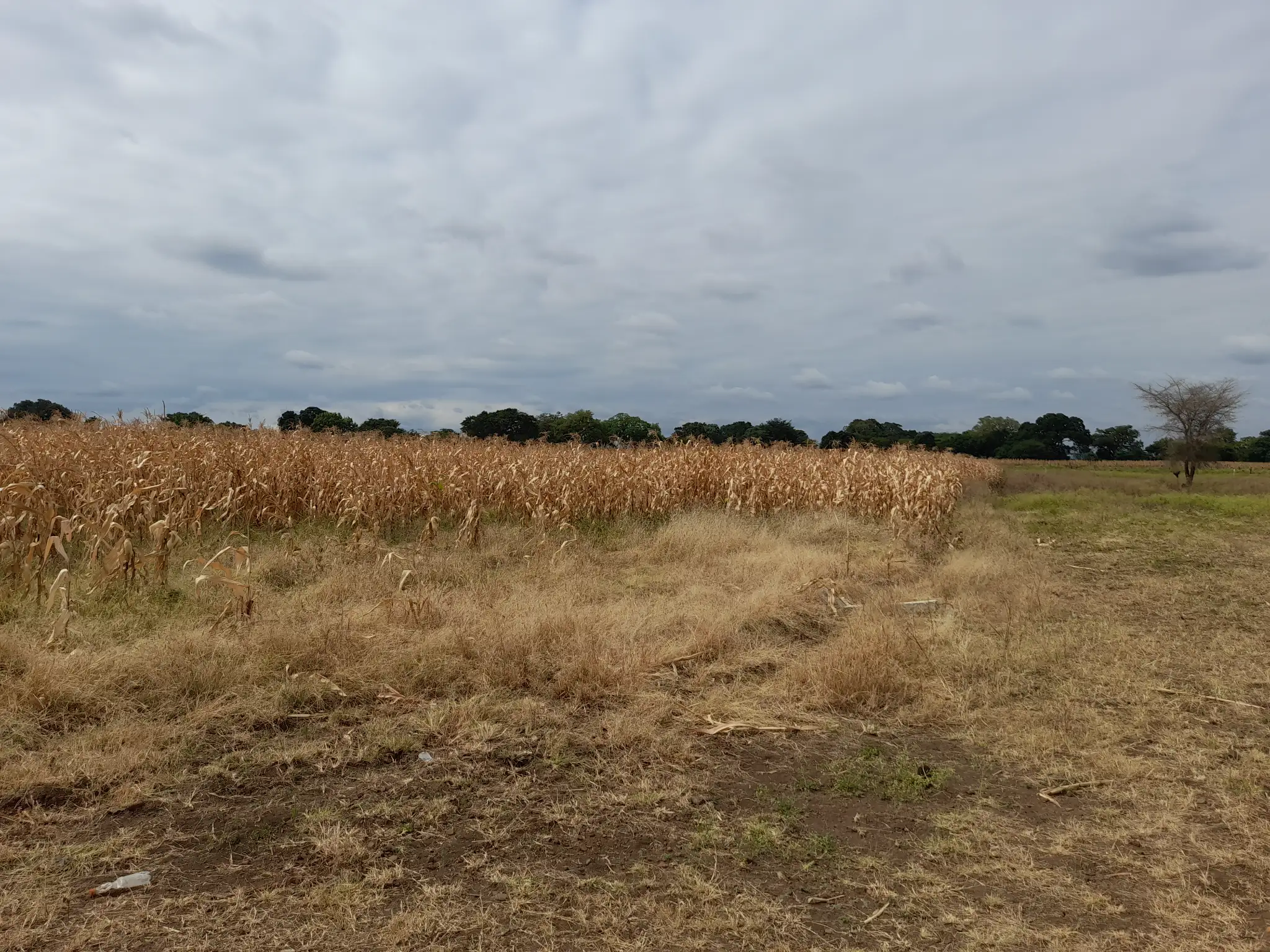 Kiwanja Cha 1,373 sqm Kilichopimwa na Hati Karibu na Gomba Estate Area – Manyire, Arumeru