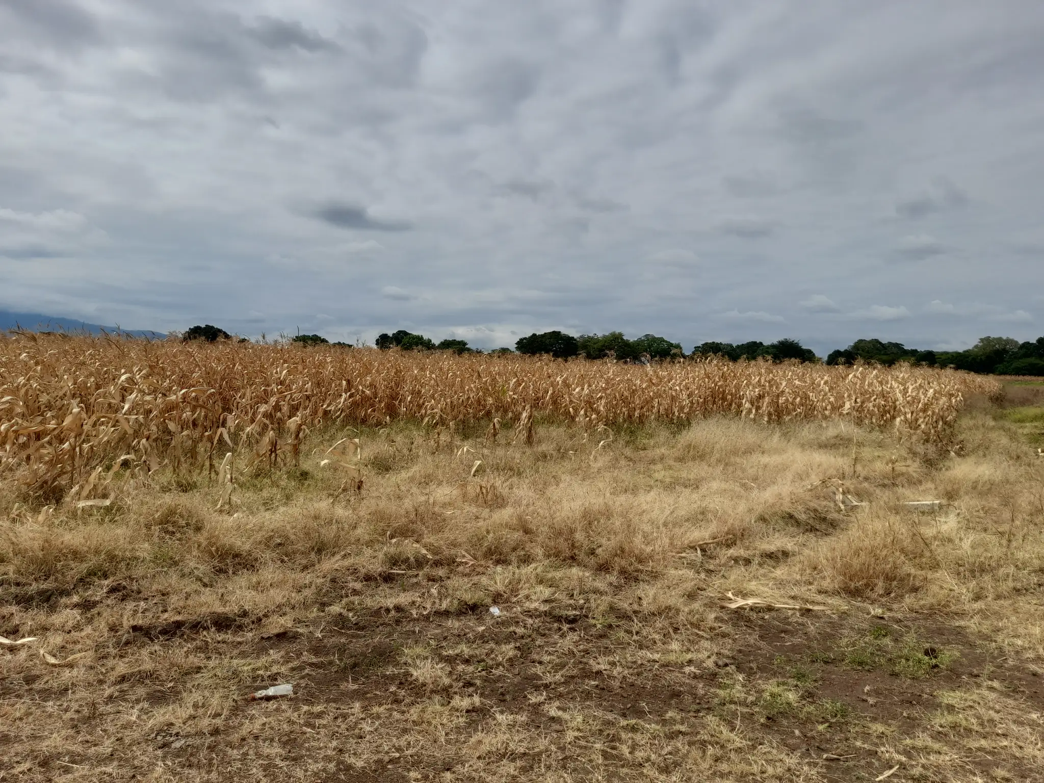 Kiwanja Cha 1,373 sqm Kilichopimwa na Hati Karibu na Gomba Estate Area – Manyire, Arumeru