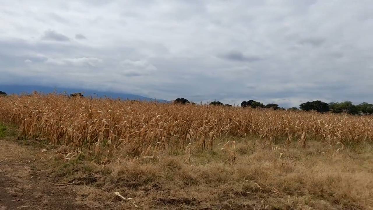 Kiwanja Cha 1,373 sqm Kilichopimwa na Hati Karibu na Gomba Estate Area – Manyire, Arumeru