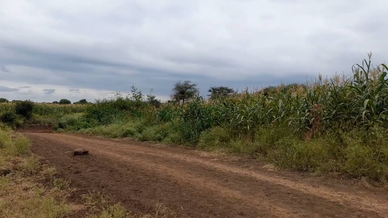 Shamba zuri la ekari 2.4 Olodenderit