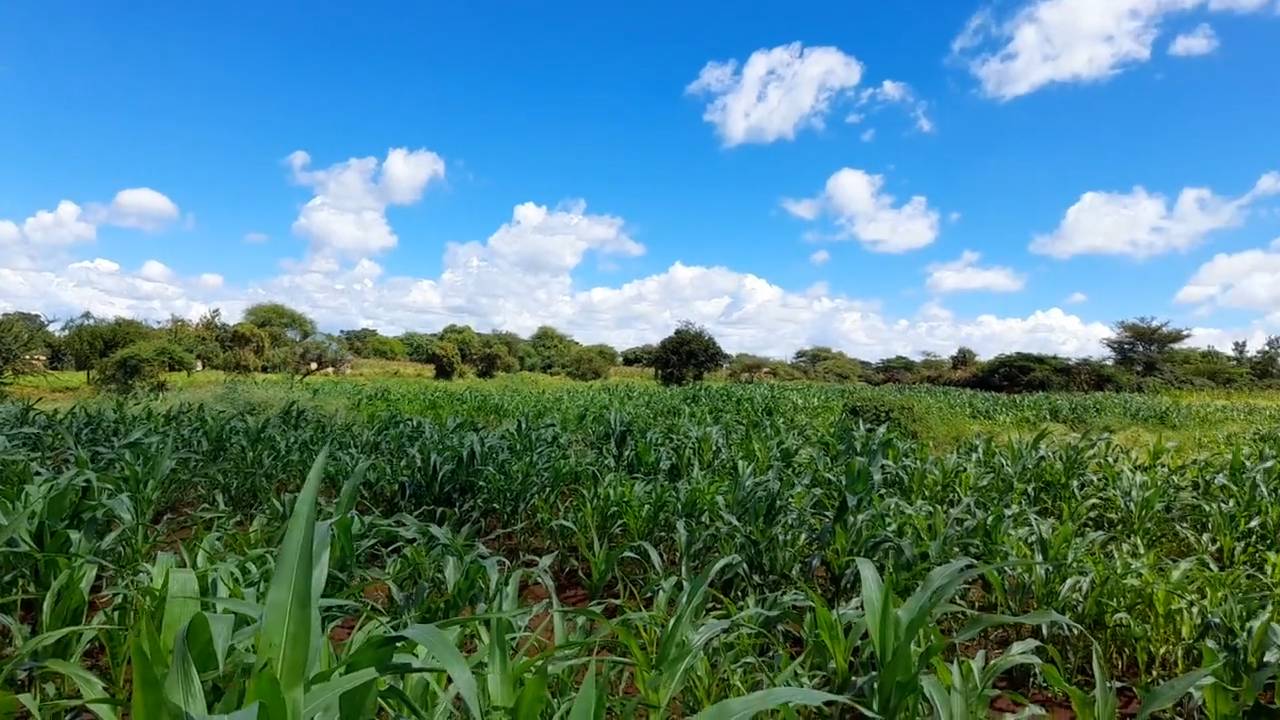Shamba zuri la ekari 1.7 Olodenderit