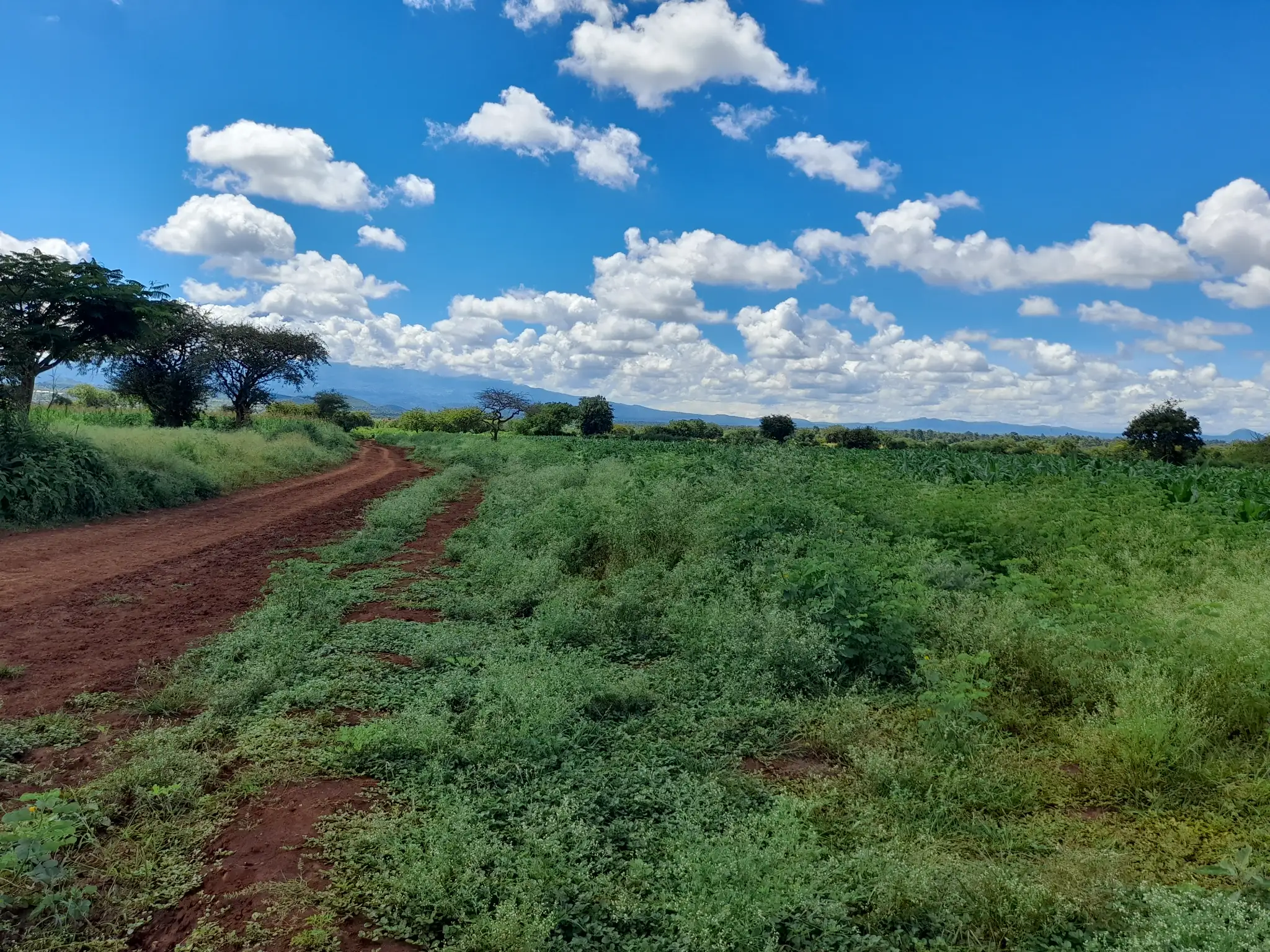 Shamba zuri la ekari 1.7 Olodenderit
