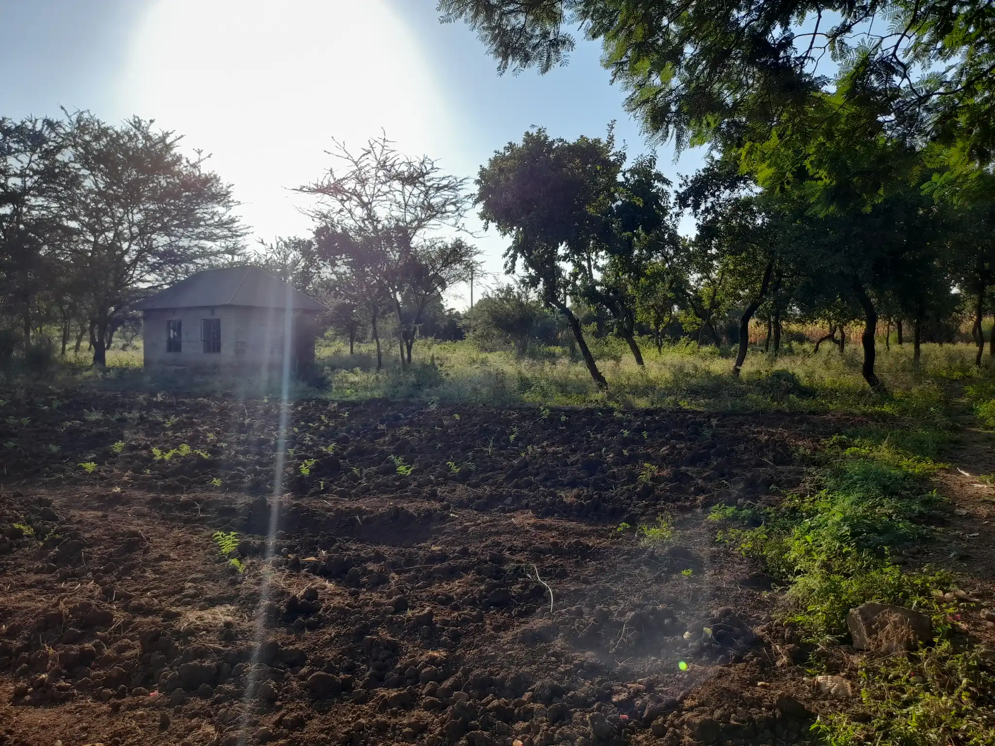 Kiwanja chenye Nyumba Kinauzwa – Ekari 0.43, Muungano Kiserian (Mita 100 kutoka Barabara ya Naberera)