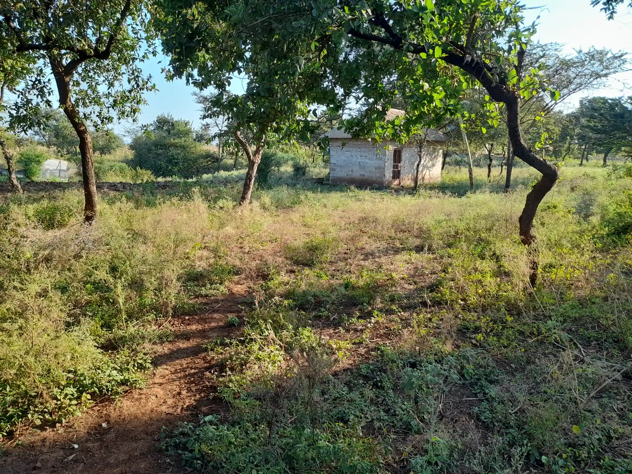 Kiwanja chenye Nyumba Kinauzwa – Ekari 0.43, Muungano Kiserian (Mita 100 kutoka Barabara ya Naberera)