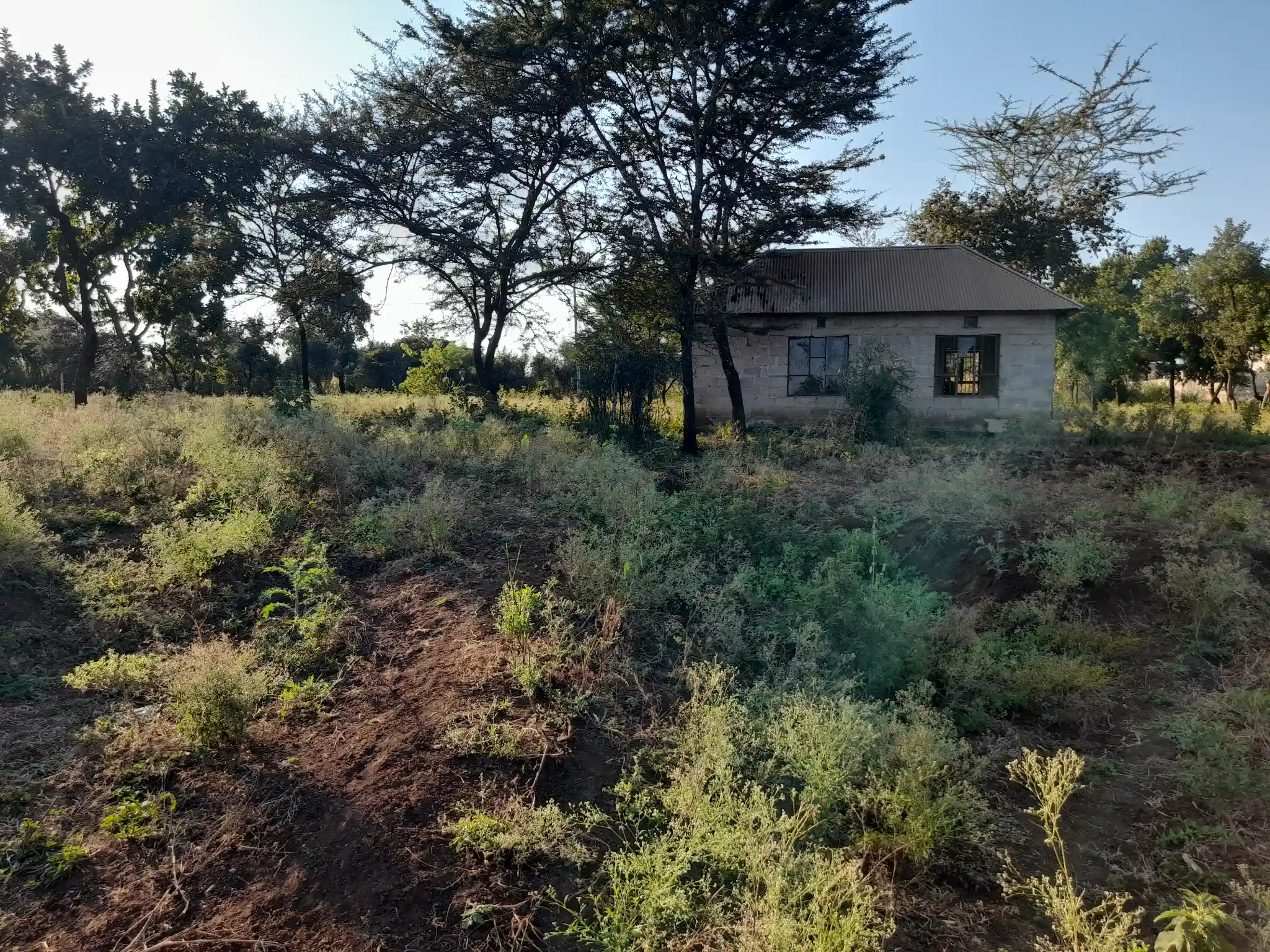 Kiwanja chenye Nyumba Kinauzwa – Ekari 0.43, Muungano Kiserian (Mita 100 kutoka Barabara ya Naberera)