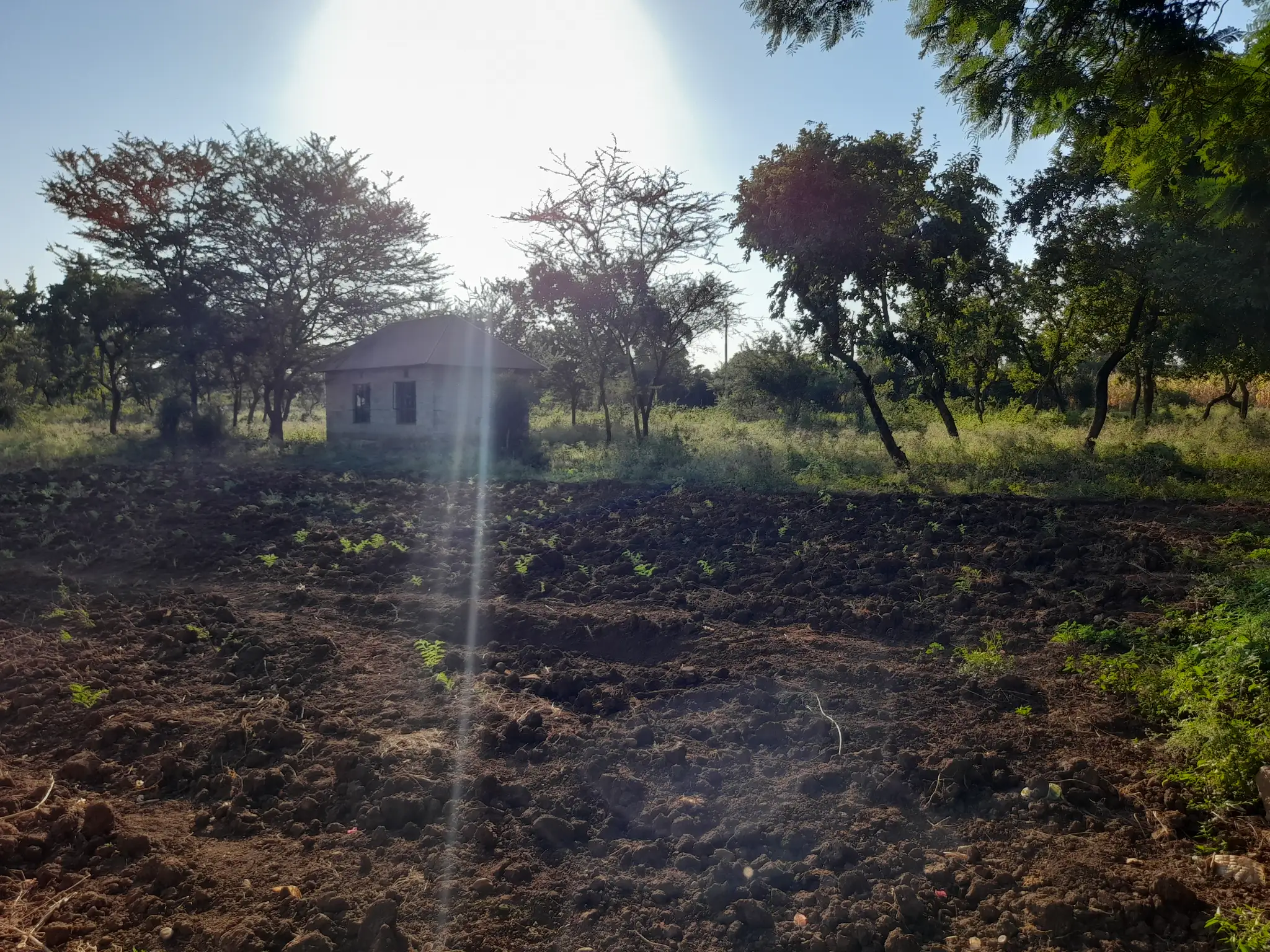 Kiwanja chenye Nyumba Kinauzwa – Ekari 0.43, Muungano Kiserian (Mita 100 kutoka Barabara ya Naberera)