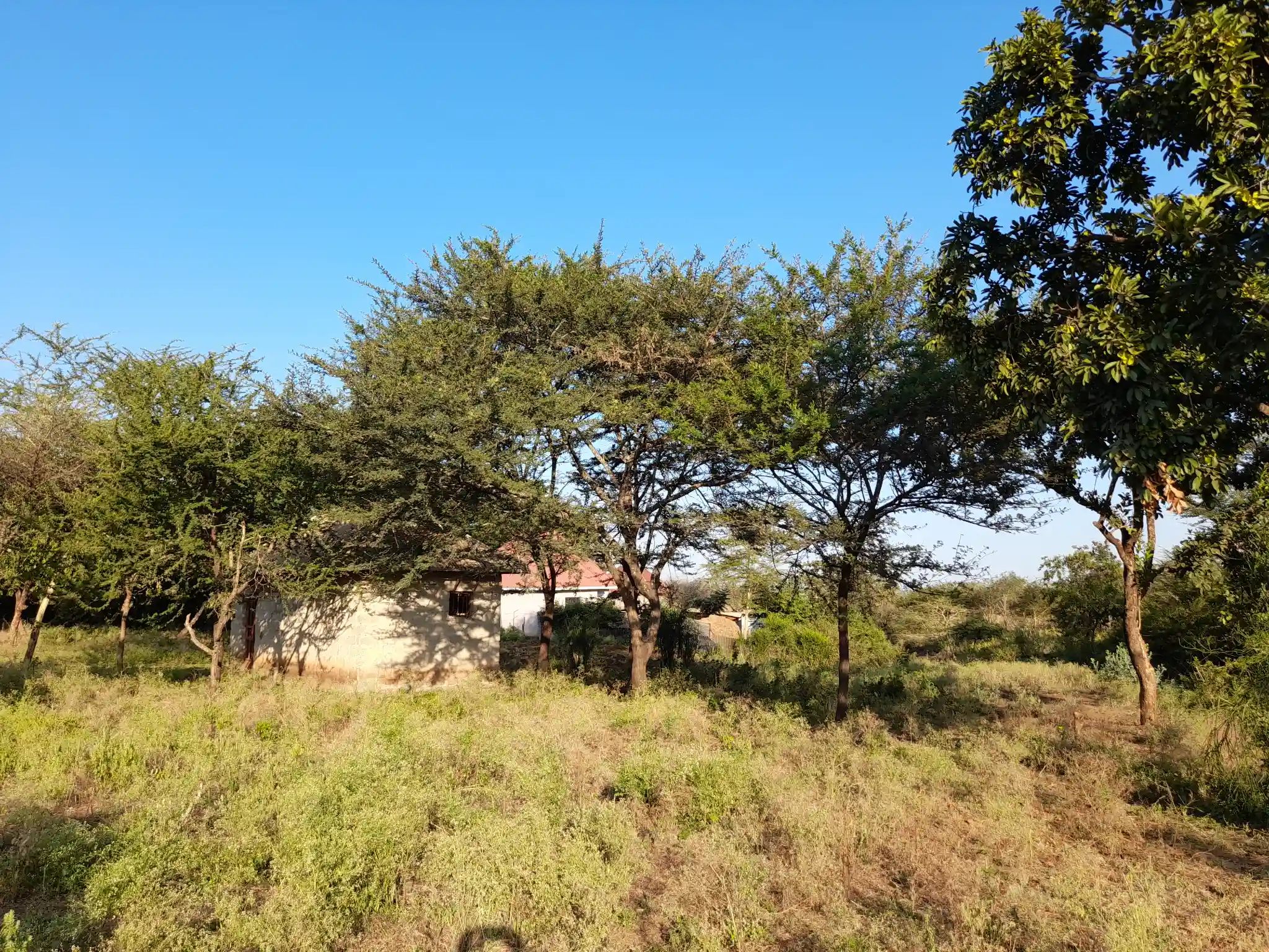 Kiwanja chenye Nyumba Kinauzwa – Ekari 0.43, Muungano Kiserian (Mita 100 kutoka Barabara ya Naberera)