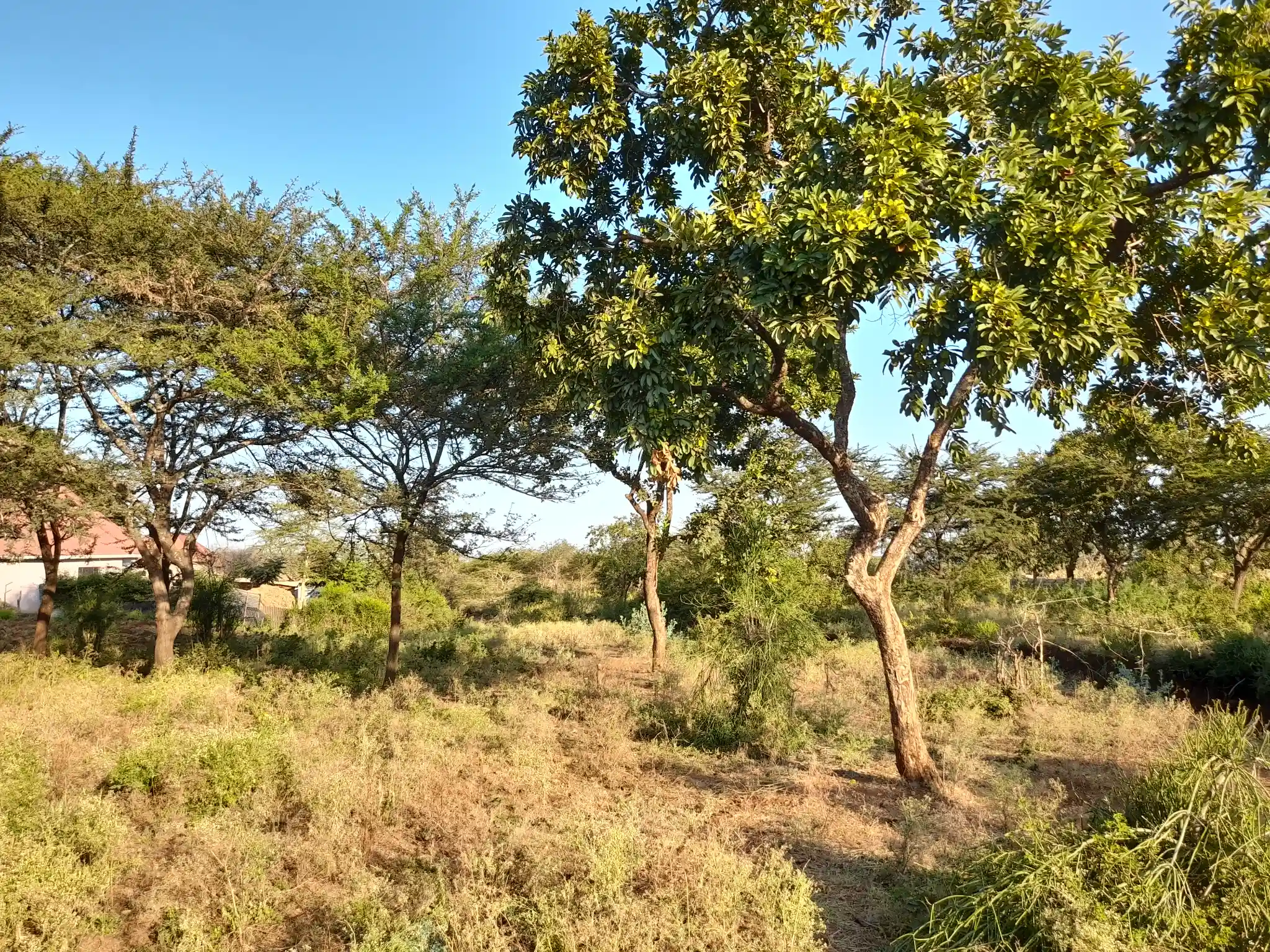 Kiwanja chenye Nyumba Kinauzwa – Ekari 0.43, Muungano Kiserian (Mita 100 kutoka Barabara ya Naberera)