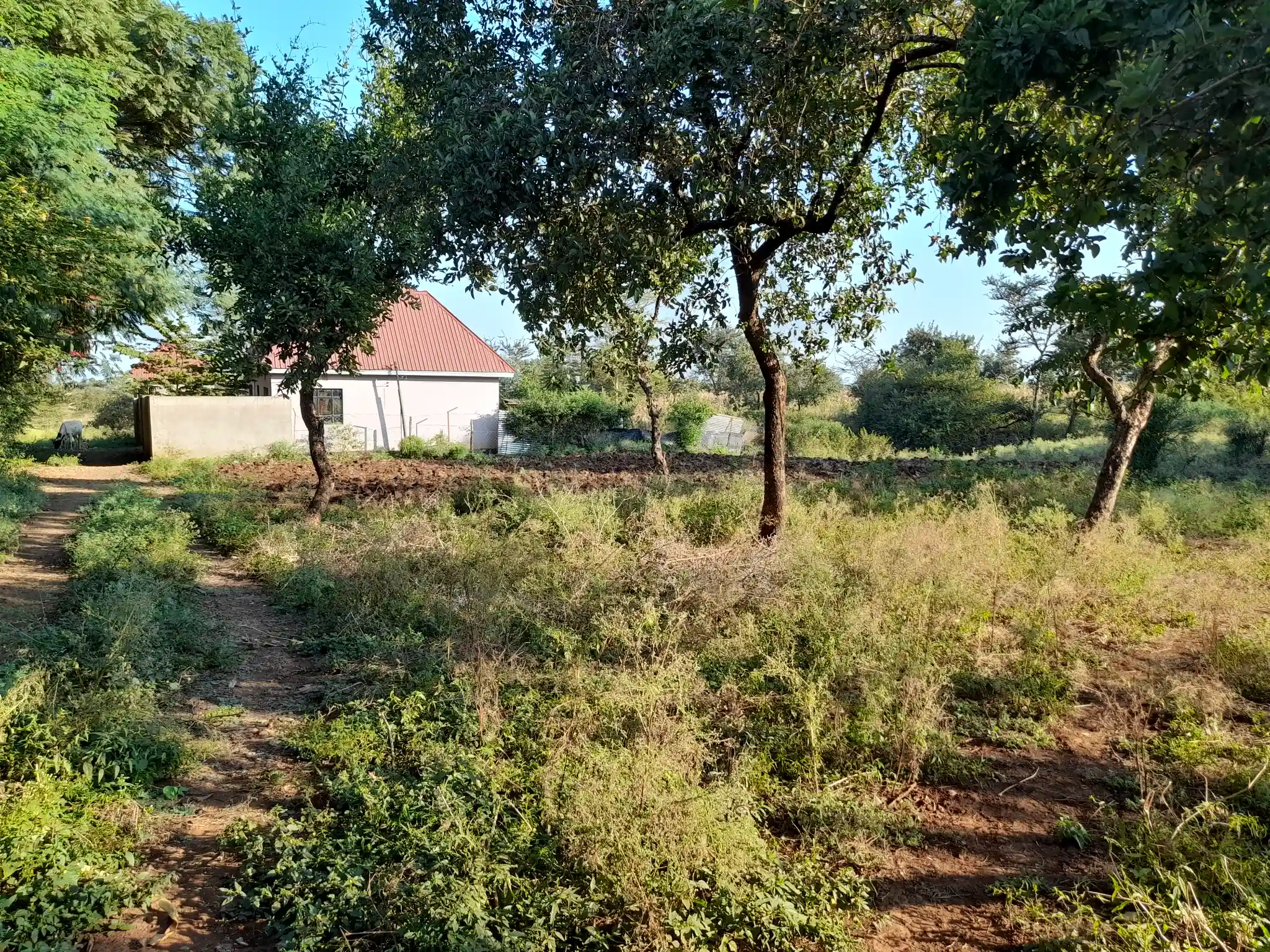 Kiwanja chenye Nyumba Kinauzwa – Ekari 0.43, Muungano Kiserian (Mita 100 kutoka Barabara ya Naberera)
