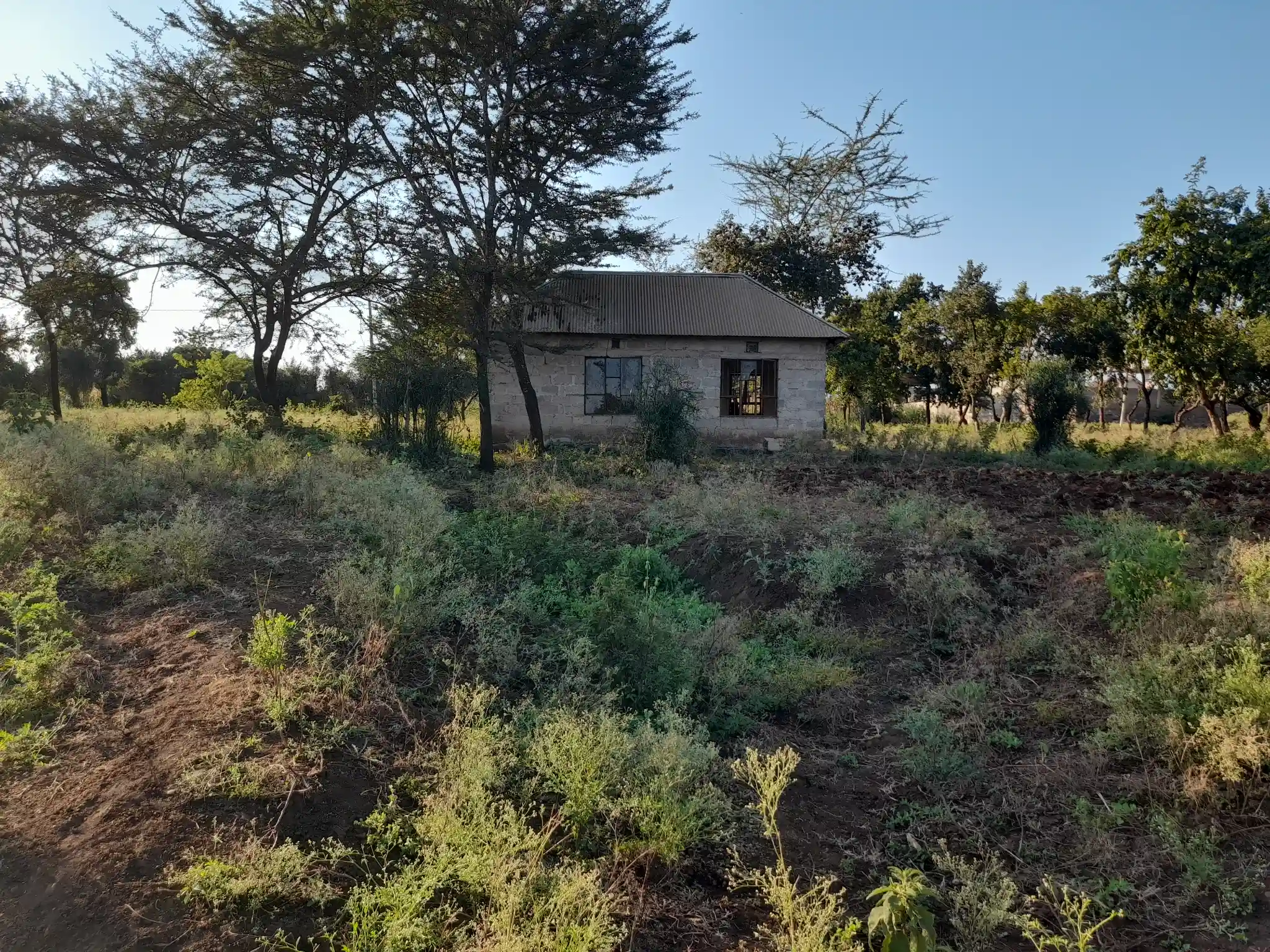 Kiwanja chenye Nyumba Kinauzwa – Ekari 0.43, Muungano Kiserian (Mita 100 kutoka Barabara ya Naberera)