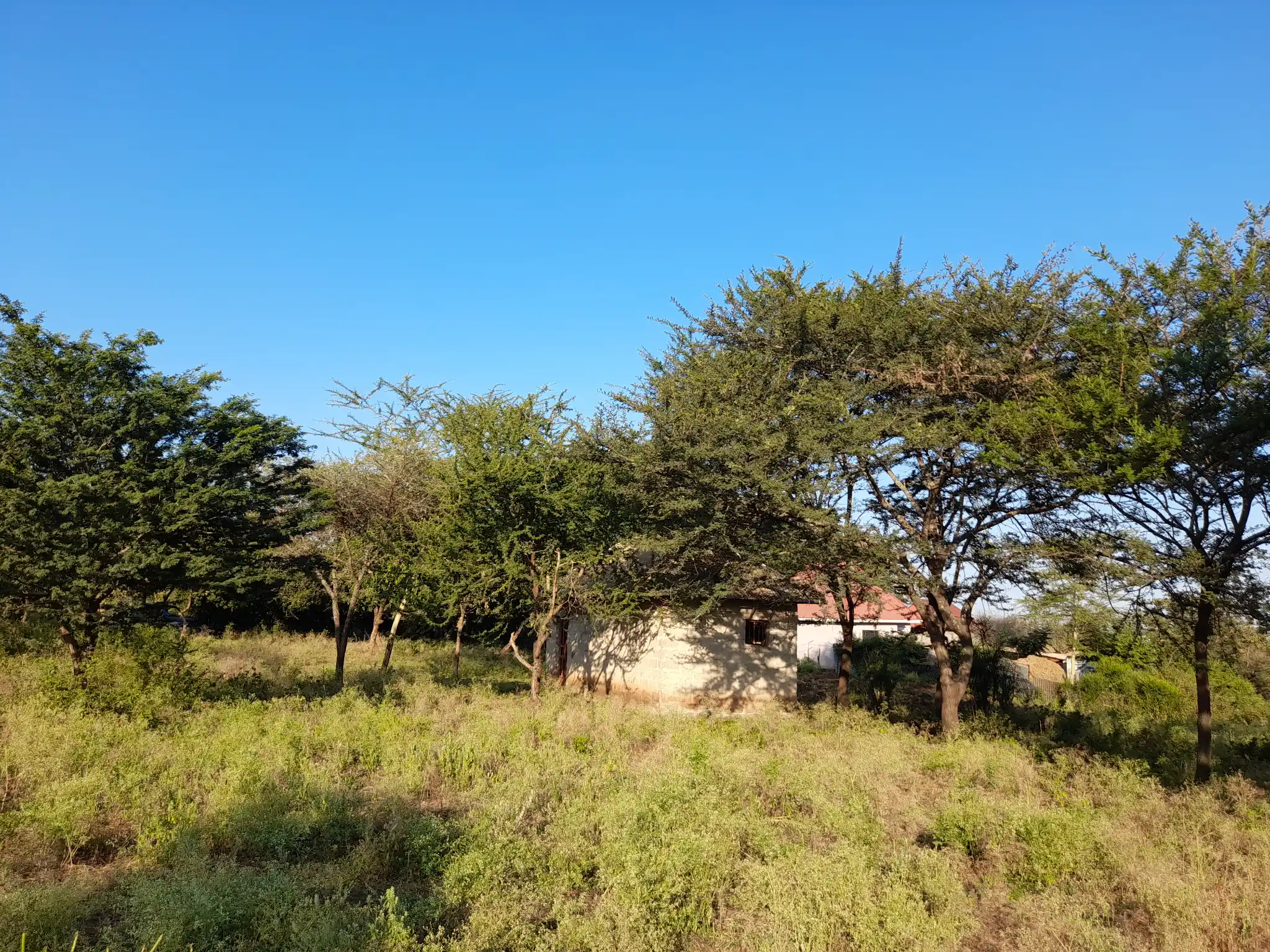 Kiwanja chenye Nyumba Kinauzwa – Ekari 0.43, Muungano Kiserian (Mita 100 kutoka Barabara ya Naberera)