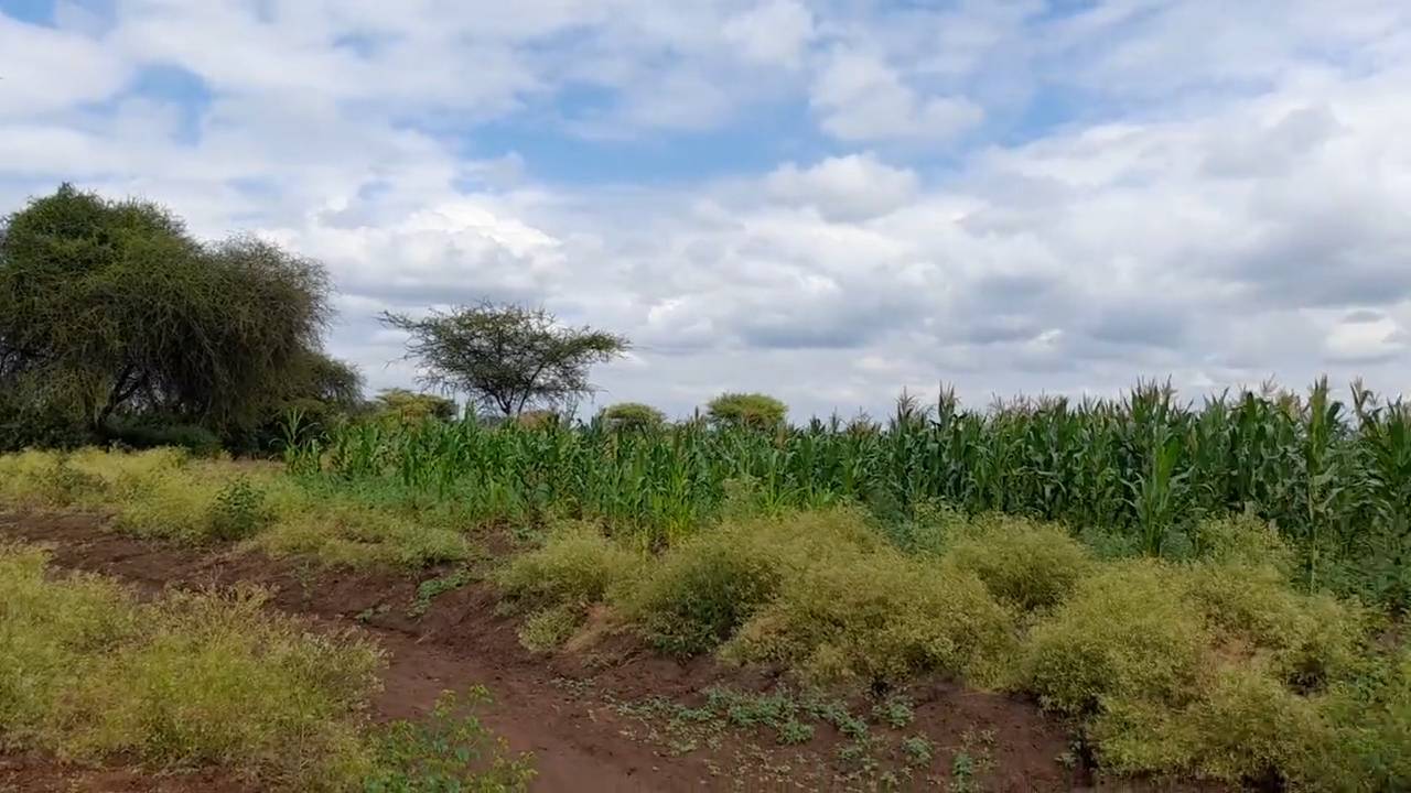Shamba zuri la ekari 1.2 Olodenderit