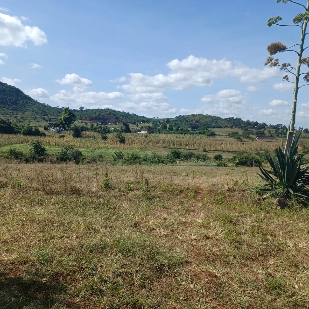 Viwanja Vizuri Vinauzwa Maroroi, Arusha – Umbali wa 1.6km kutoka Barabara ya East Africa, Maji na Umeme Vipo