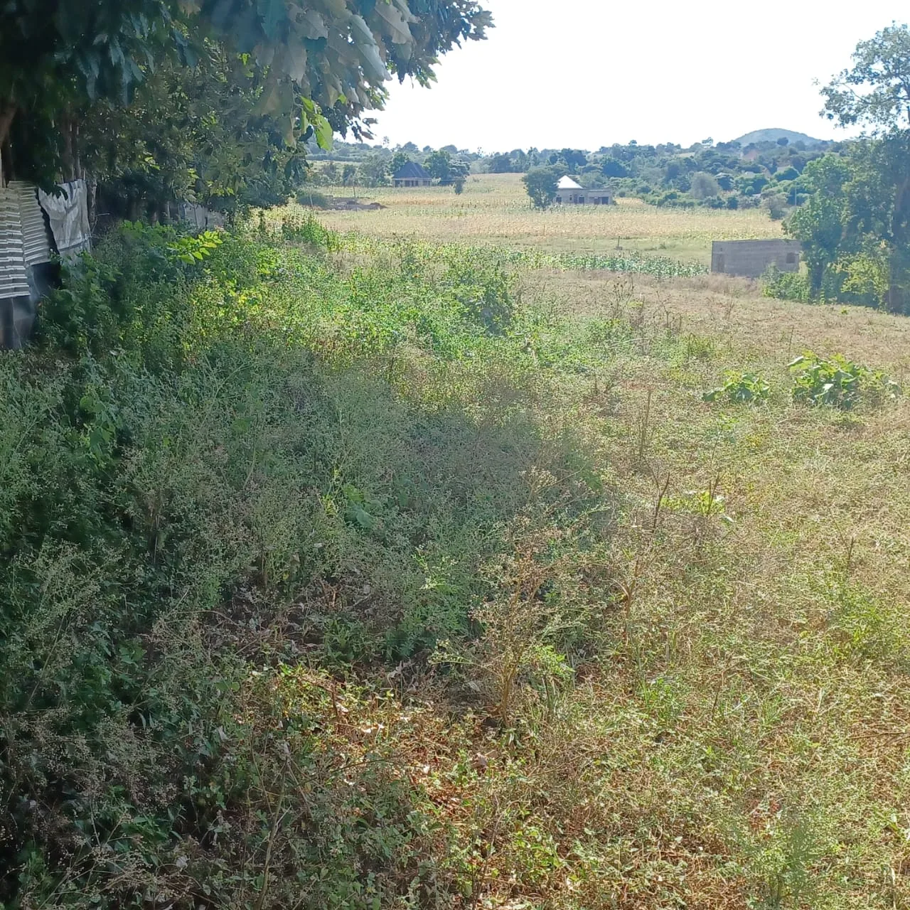 Viwanja Vizuri Vinauzwa Maroroi, Arusha – Umbali wa 1.6km kutoka Barabara ya East Africa, Maji na Umeme Vipo