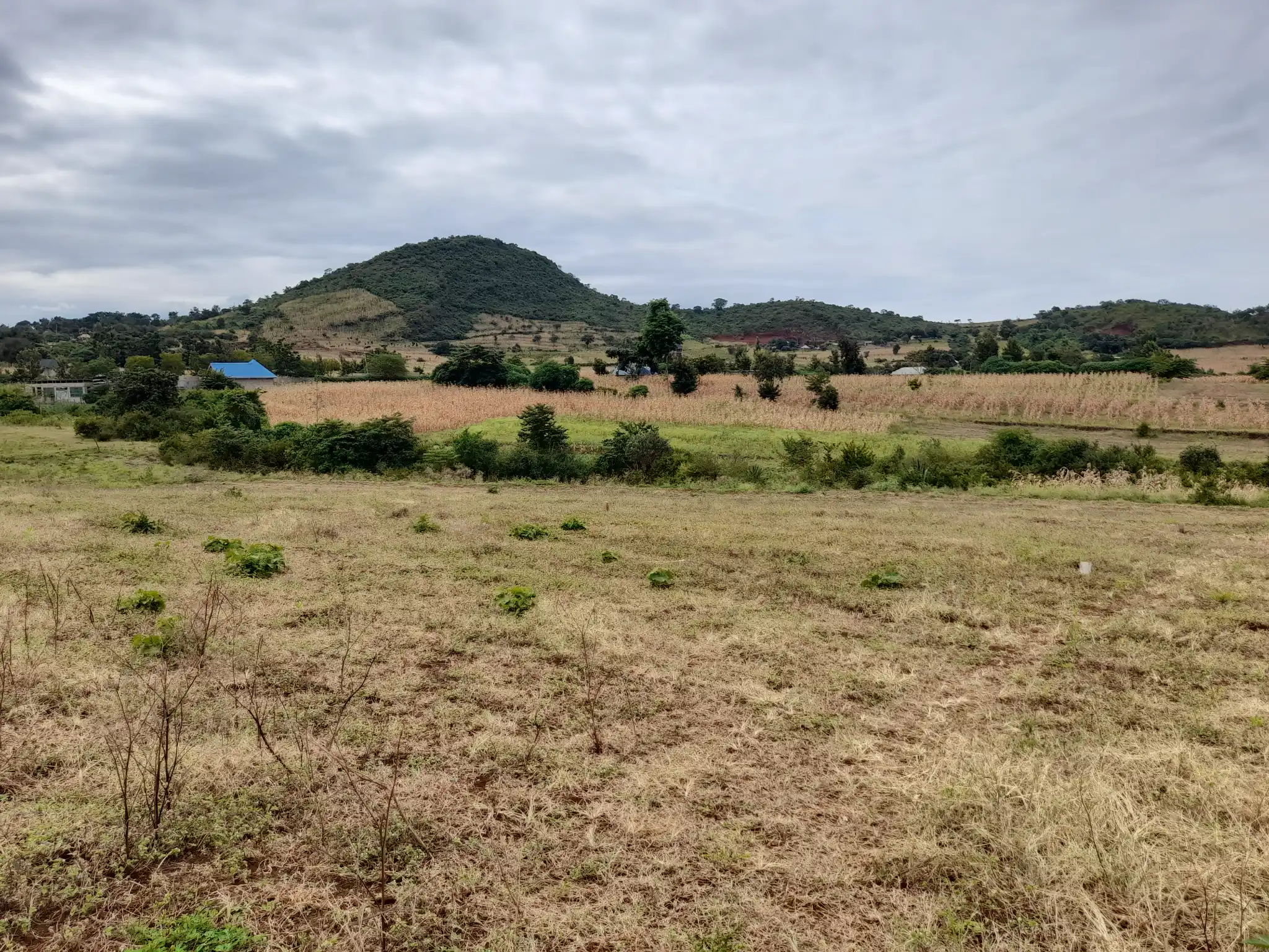 Viwanja Vizuri Vinauzwa Maroroi, Arusha – Umbali wa 1.6km kutoka Barabara ya East Africa, Maji na Umeme Vipo