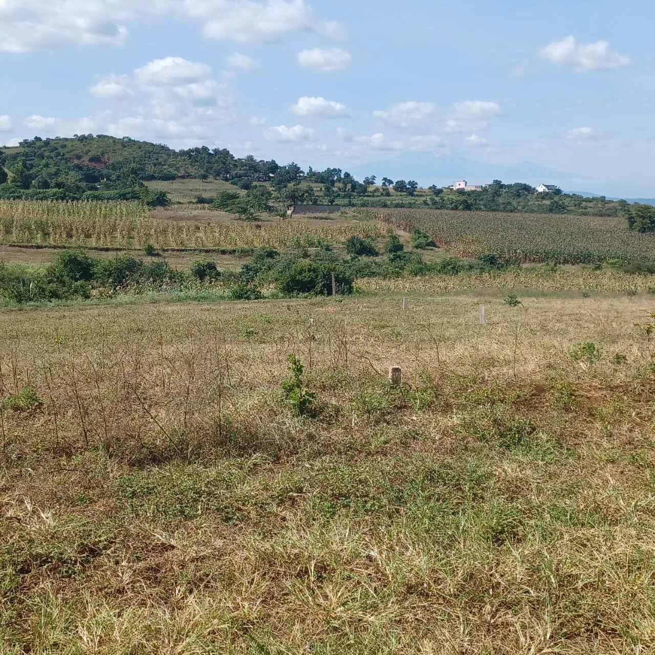 Viwanja Vizuri Vinauzwa Maroroi, Arusha – Umbali wa 1.6km kutoka Barabara ya East Africa, Maji na Umeme Vipo