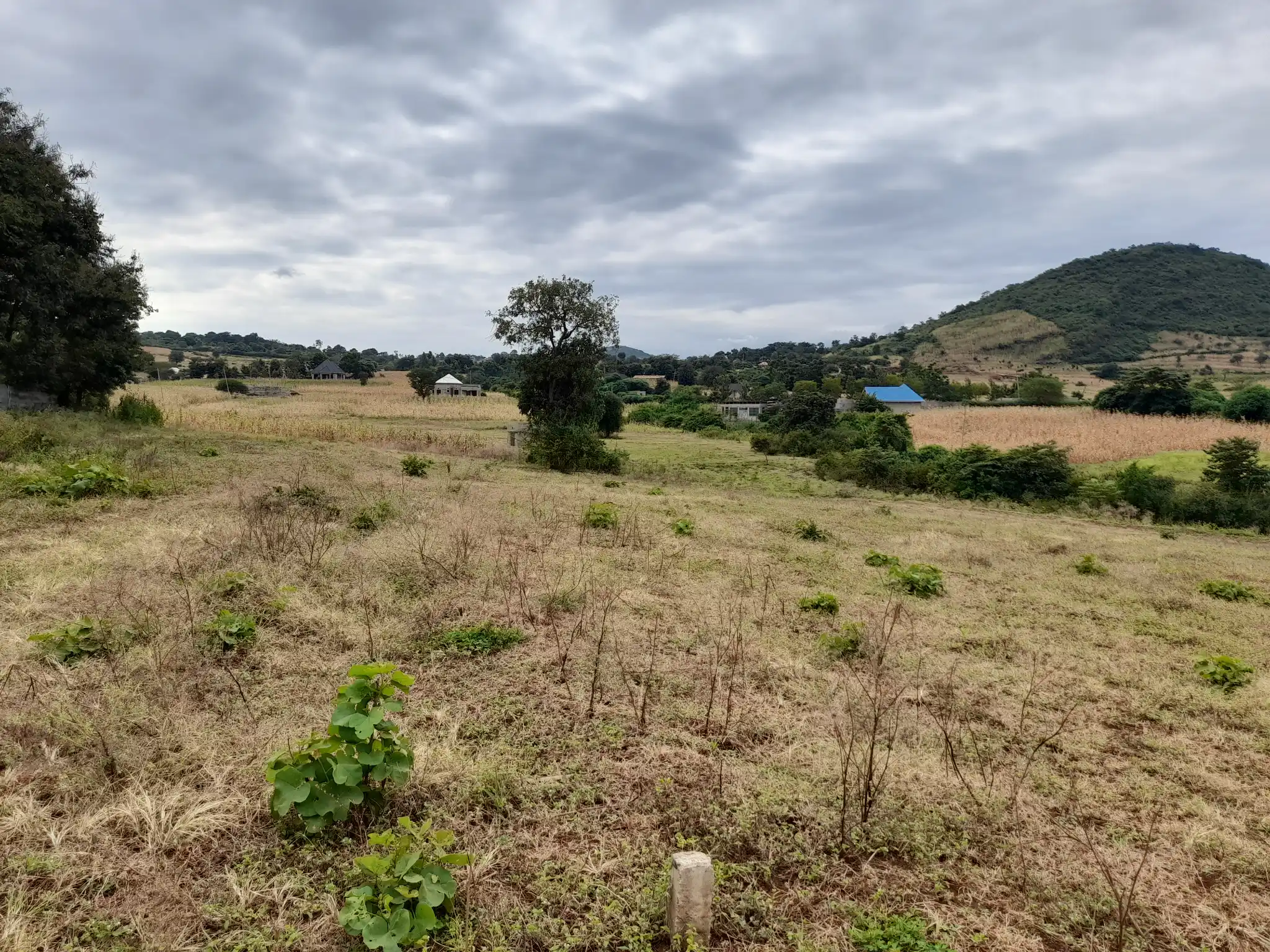Viwanja Vizuri Vinauzwa Maroroi, Arusha – Umbali wa 1.6km kutoka Barabara ya East Africa, Maji na Umeme Vipo